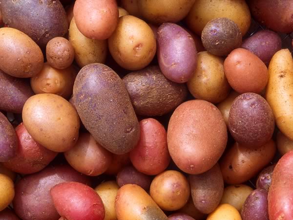 Potatoes Pics